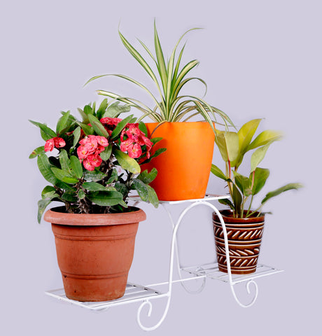 vertical-small-kart-3-pots