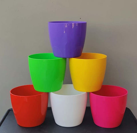 Colourful Indoor Pots Glossy