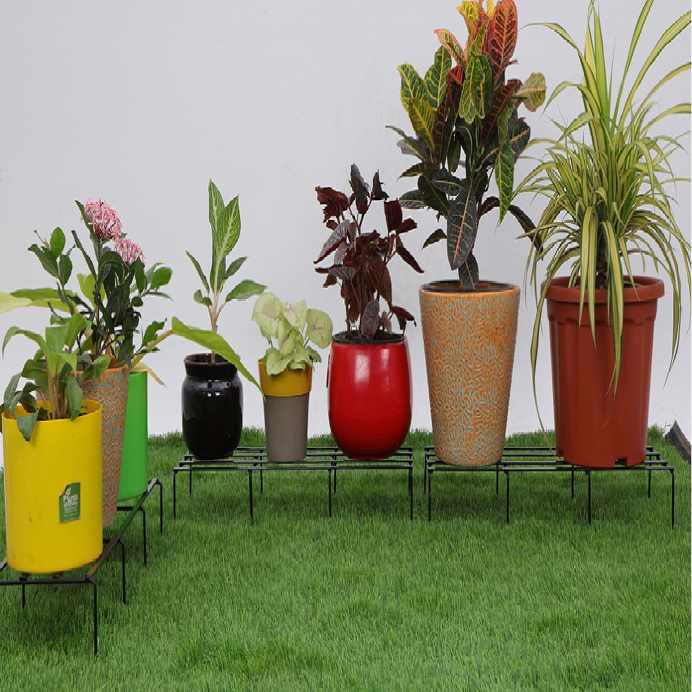 Indigo Rectangle 2 feet Flat Stand – Gardenwaala.in