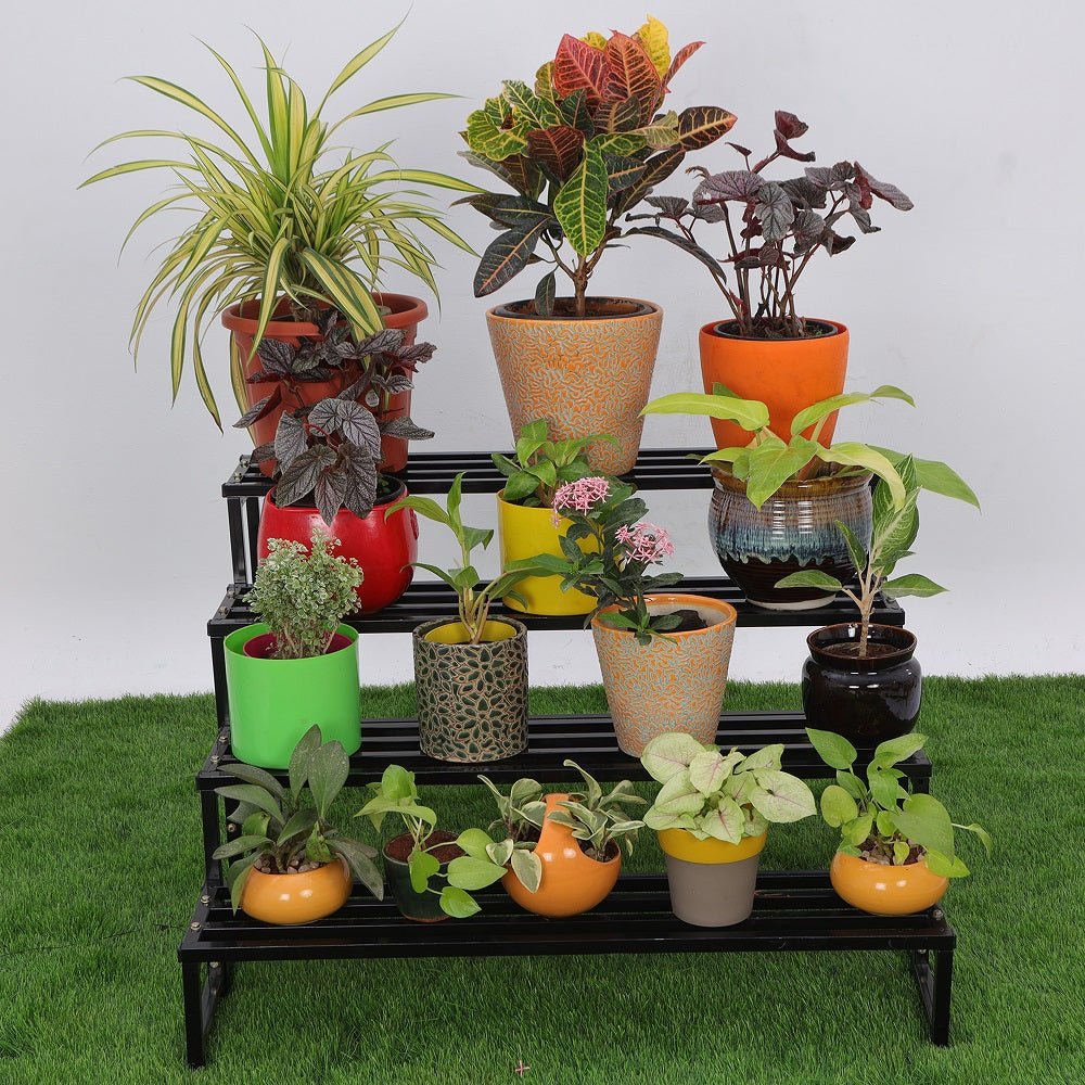 pot stand for plants india 4-Tier Stand | Premium Durable Flower Pot Stand